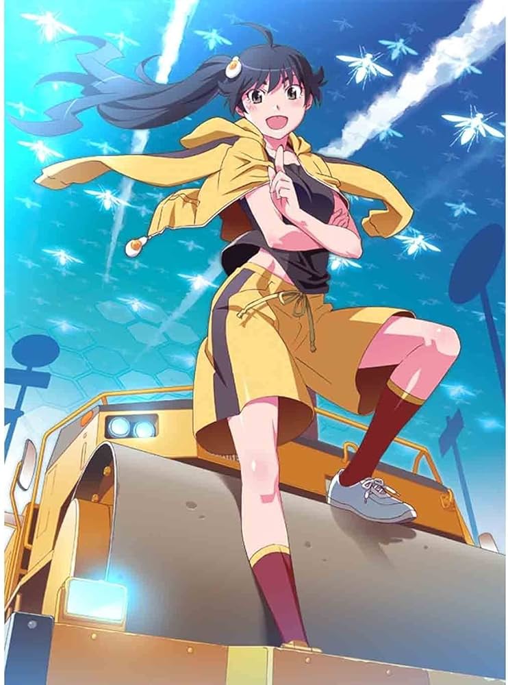 化物語 偽物語 DVD全巻セット完全生産限定版 アニメ化物語オフィシャルガイド Amazon.co.jp | 「偽物語」 【完全生産限定版】 全5巻セット