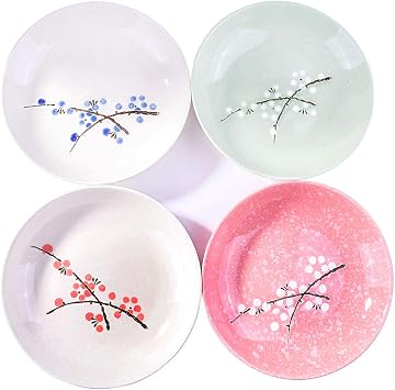 Japanese Ceramic Dinner Plate Set of 4, 8 Inch Porcelain Plates for Salad Cake Spaghetti
