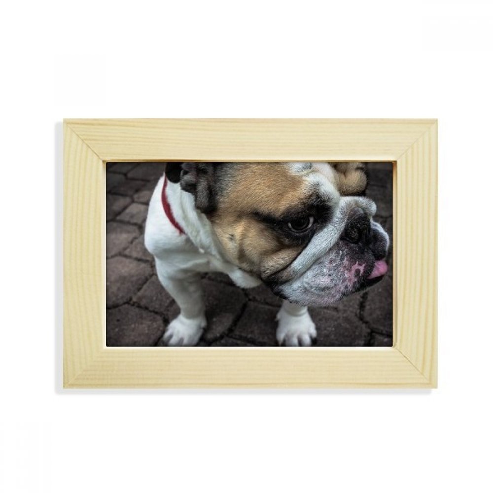 Imágenes de escritorio marco de madera 5x7 foto dogo arte
