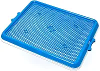 Pet Injet Sanitario Hig.Xixi Pets Premium-Azul Para Cães