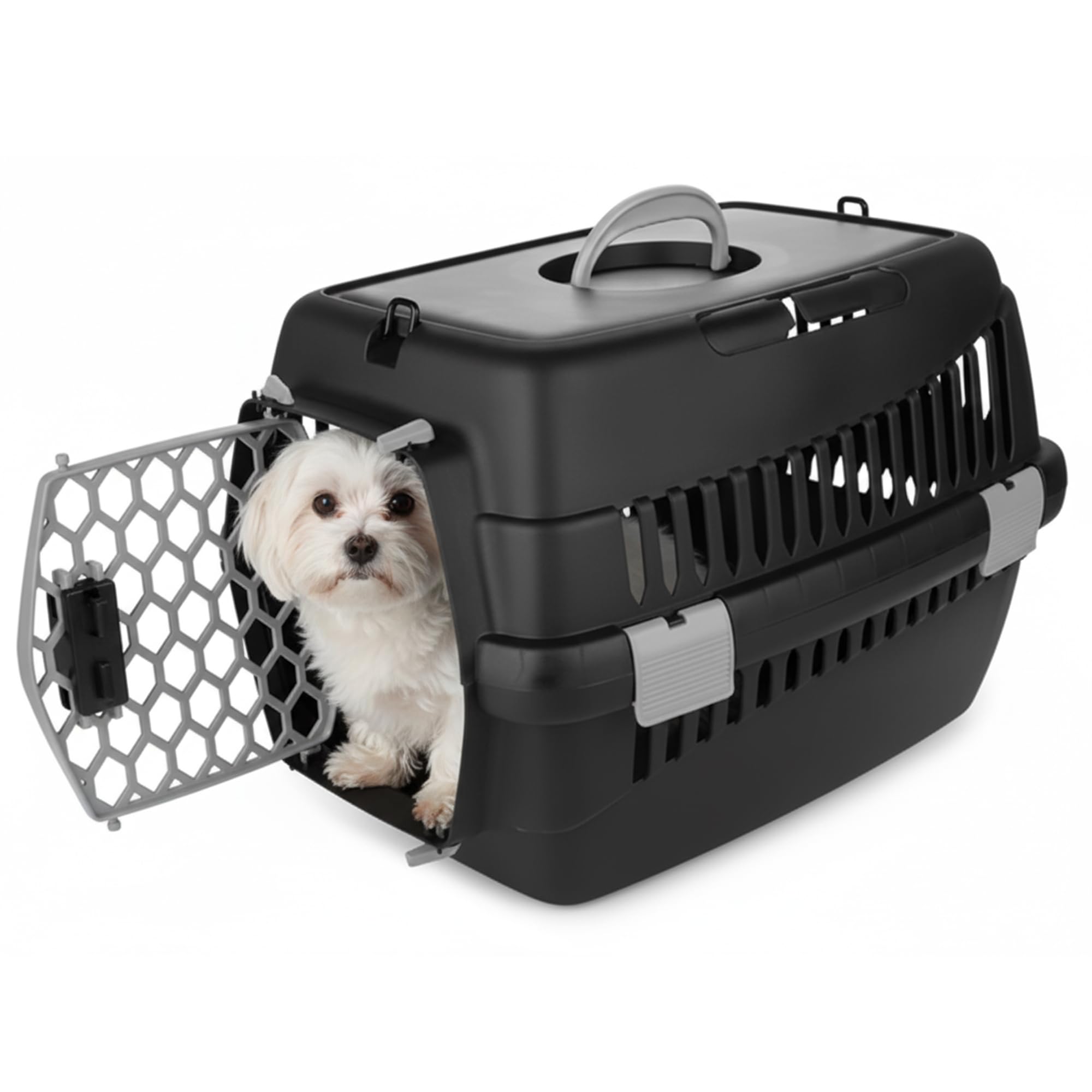 HAPPET Katzentransportbox Teddy S Grau 50x33x33 cm – Stilvolle Katzen Transportbox aus Kunststoff mit Belüftung & sicherer Tür, komfortable Tiertransportbox für Katzen, kleine Hunde & Kleintiere