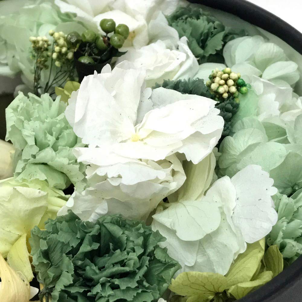 お値下げ‼️シャネル.CHANEL.顧客ギフト❤︎お部屋のオブジェにいかがですか？ Amazon｜[CHANEL] (シャネル) ノベルティ インテリア プリザーブド