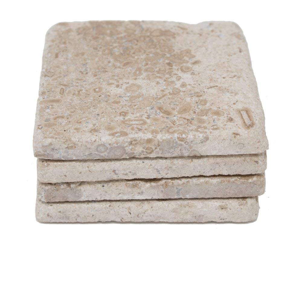 Marble Object Beige 4'' X 4'' Travertine with Fossil Coasters Stone Drink Spills Coasters Tumbled Stone Set of 4 Pieces