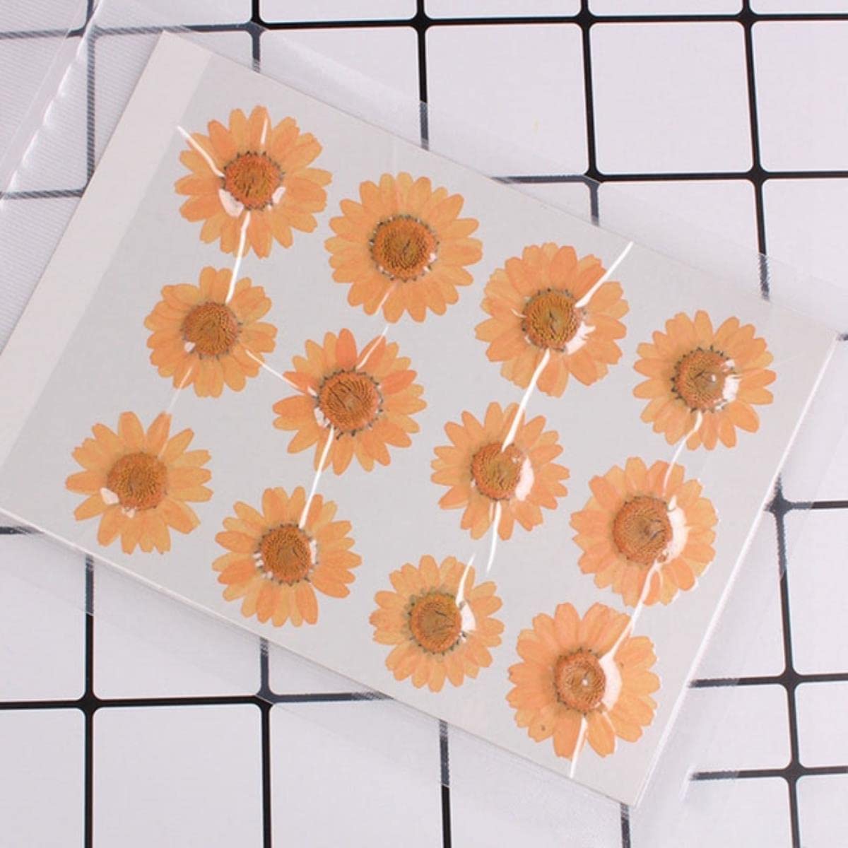 Getrocknete gepresste Blumen, 12 Stück 2–3 cm gepresste, gepresste, getrocknete Gänseblümchen-Trockenblumen for Harz-Anhänger, Halskette, Schmuckherstellung, Basteln, DIY-Zubehör, Rot(Orange)