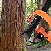 Xeoca Tree Climbing Spikes Set Tree Climbing Gear 1 Pair Alloy Steel Climbing Spurs 350lbs Load Capacity Arborist Equipment for Climbers, Fruit Picking and Lumberjack