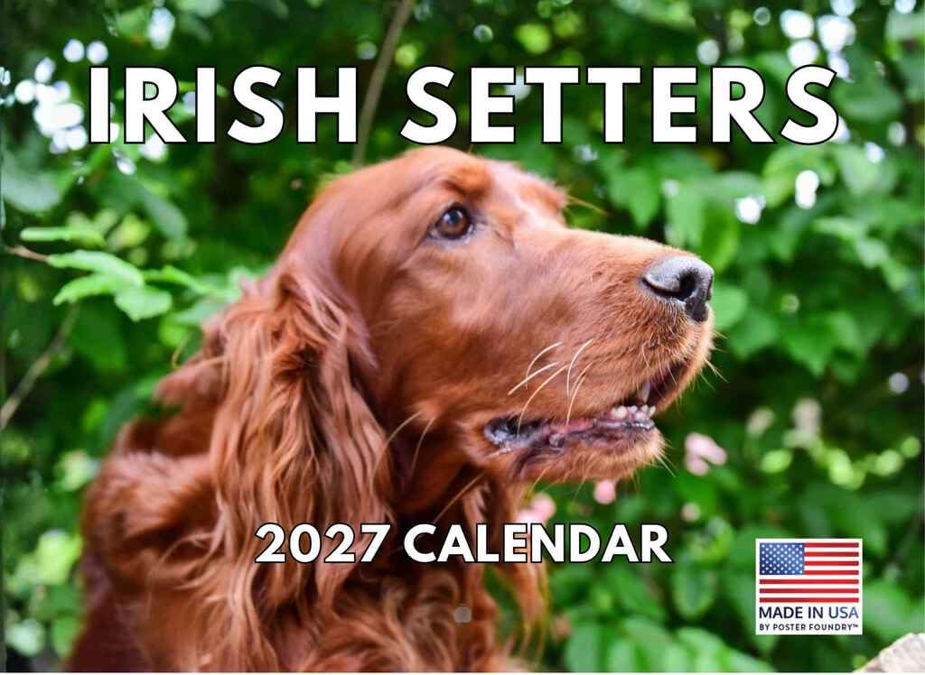 Irish Setter Calendar 2025 Monthly Wall | American Made In The USA โ image 1