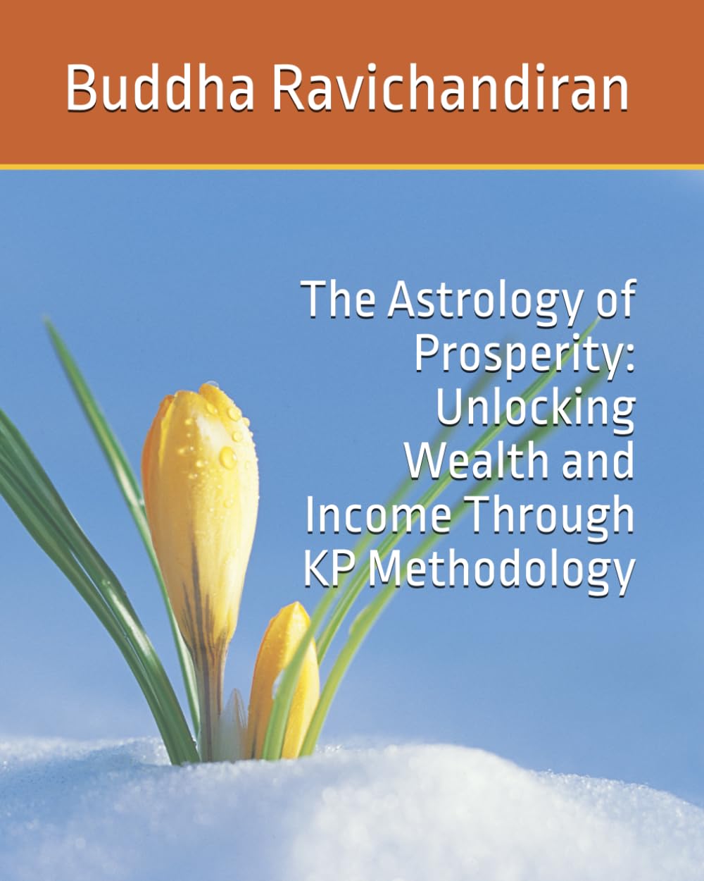 The Astrology of Prosperity: Unlocking Wealth and Income Through KP Methodology