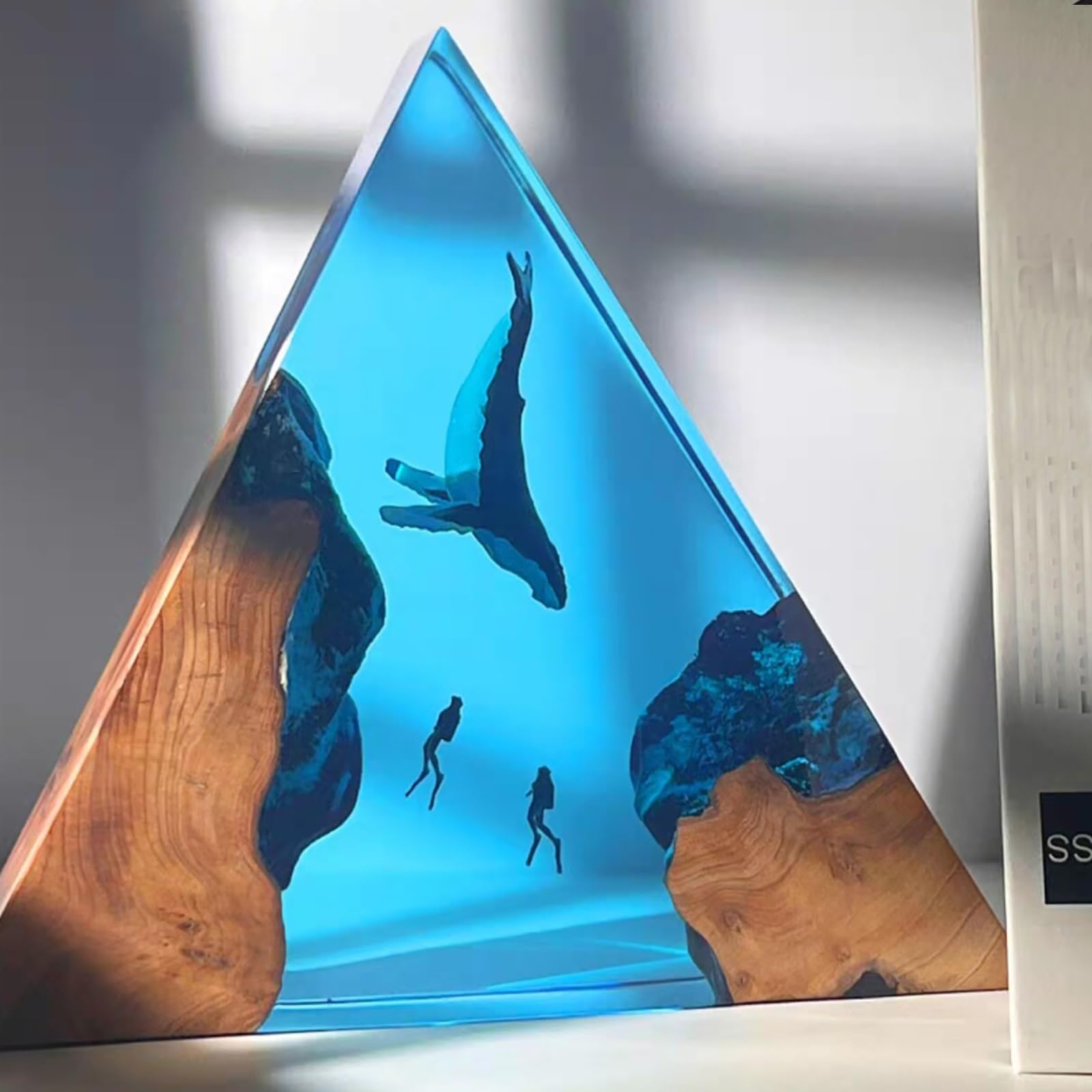 FGJtguE Woods lamp, with Couple Diver & Whale Shark USB LED Night Light Underwater Diorama,Decor for Marine Lovers(K)