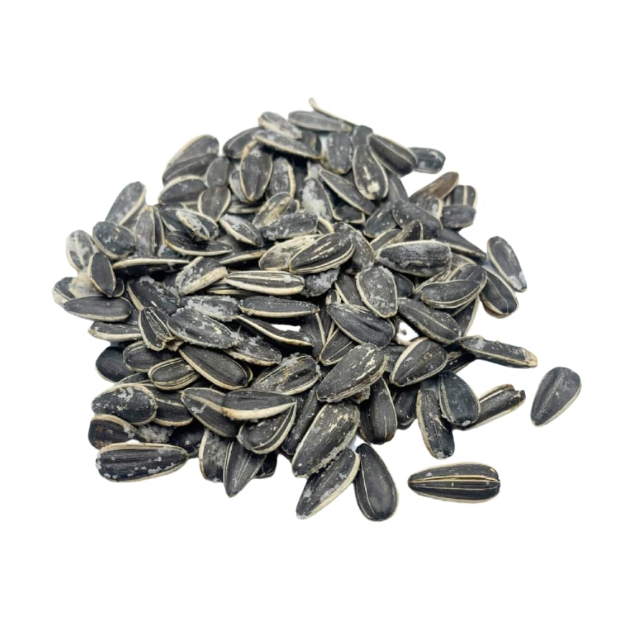 Sunflower Seeds | Half Salt | Reduced Sodium Sunflower Seeds | Dry Roasted | Keto Snack | Product of Nebraska | 12 oz Bag | 6 Pack