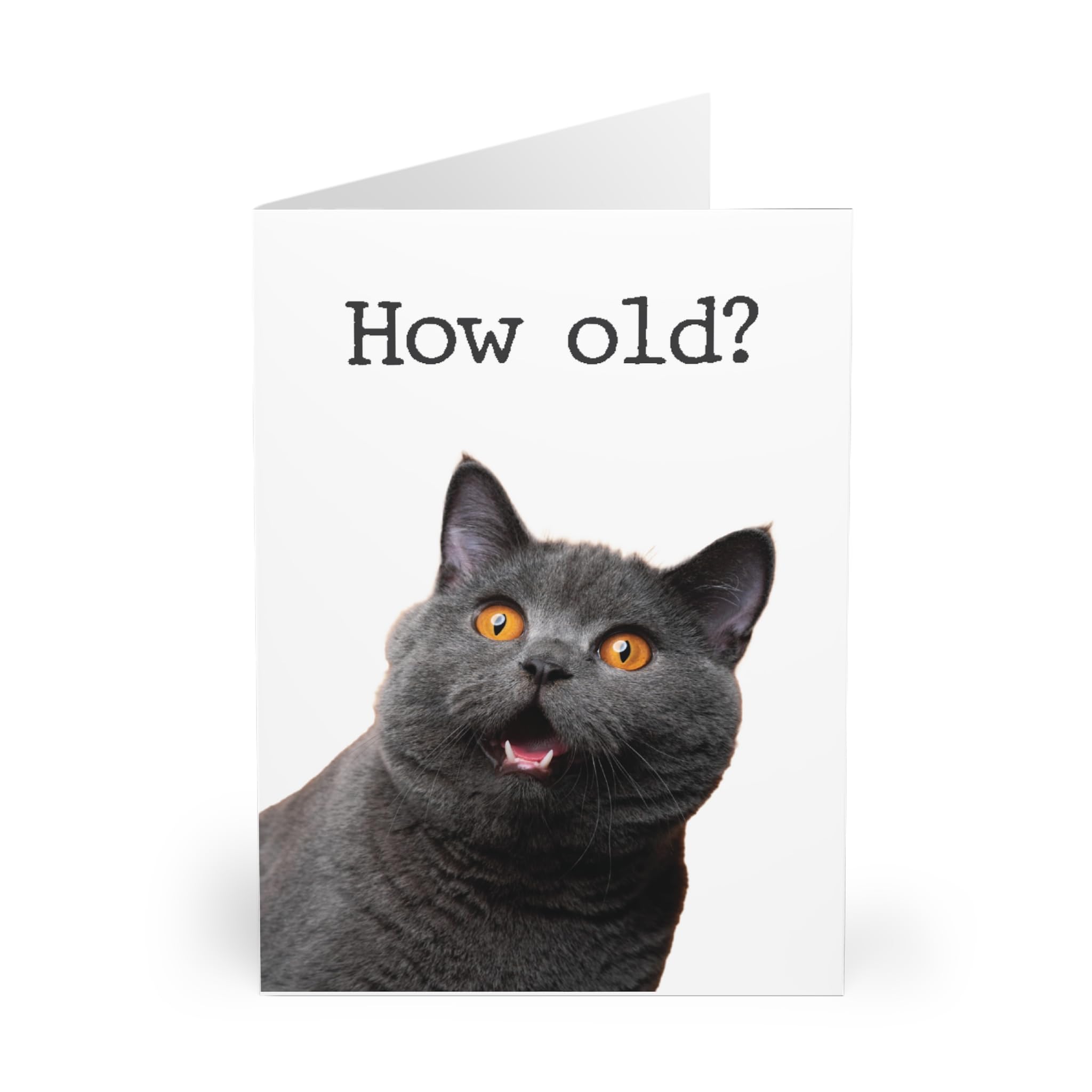 Grey British Shorthair Cat Greeting Card - 'How Old?' Caption with Amazed Expression - Funny Birthday Card with Orange Eyes