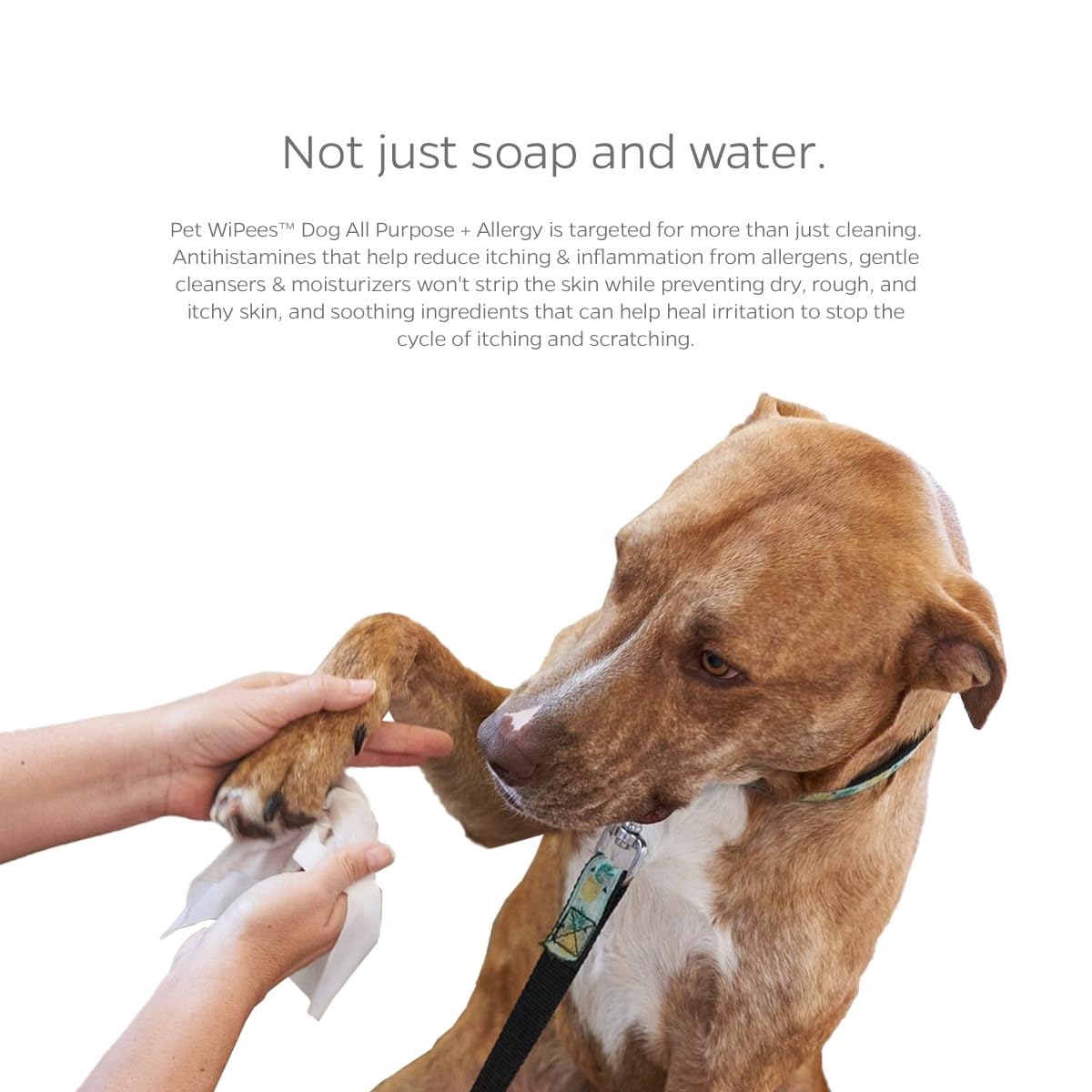 Pet Parents® Pet WiPees™ - Toallitas multiusos para perros + alergias, toallitas para mascotas, toallitas para cachorros, toallitas para patas y perros, toallitas para perros grandes (100 unidades