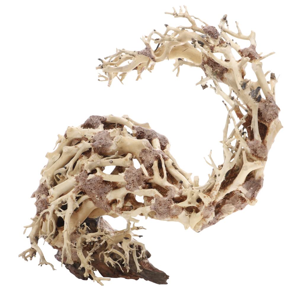 Dupla Hobby Aquaristik Wizard Root M I Natürliche Holzdekoration I Handgefertigte Einzelstücke I 30 x 13 x 23 cm