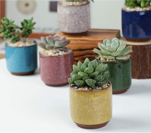 Miniatura 5 de Lawei Paquete de 8 mini macetas suculentas de 2.5 pulgadas con drenaje y bandeja de bambú, maceta pequeña de cerámica para cactus, macetas de flores