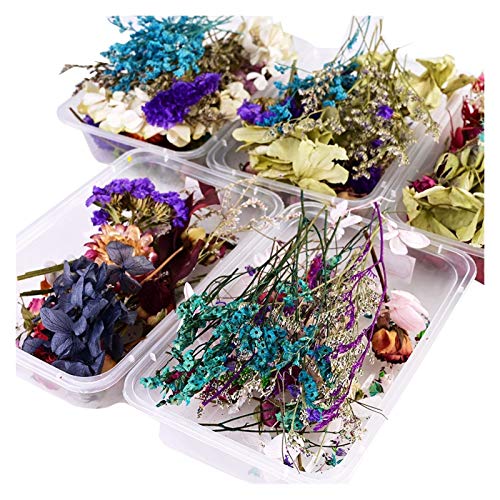 Flores secas - 1 caja flores naturales secas miniatura 2