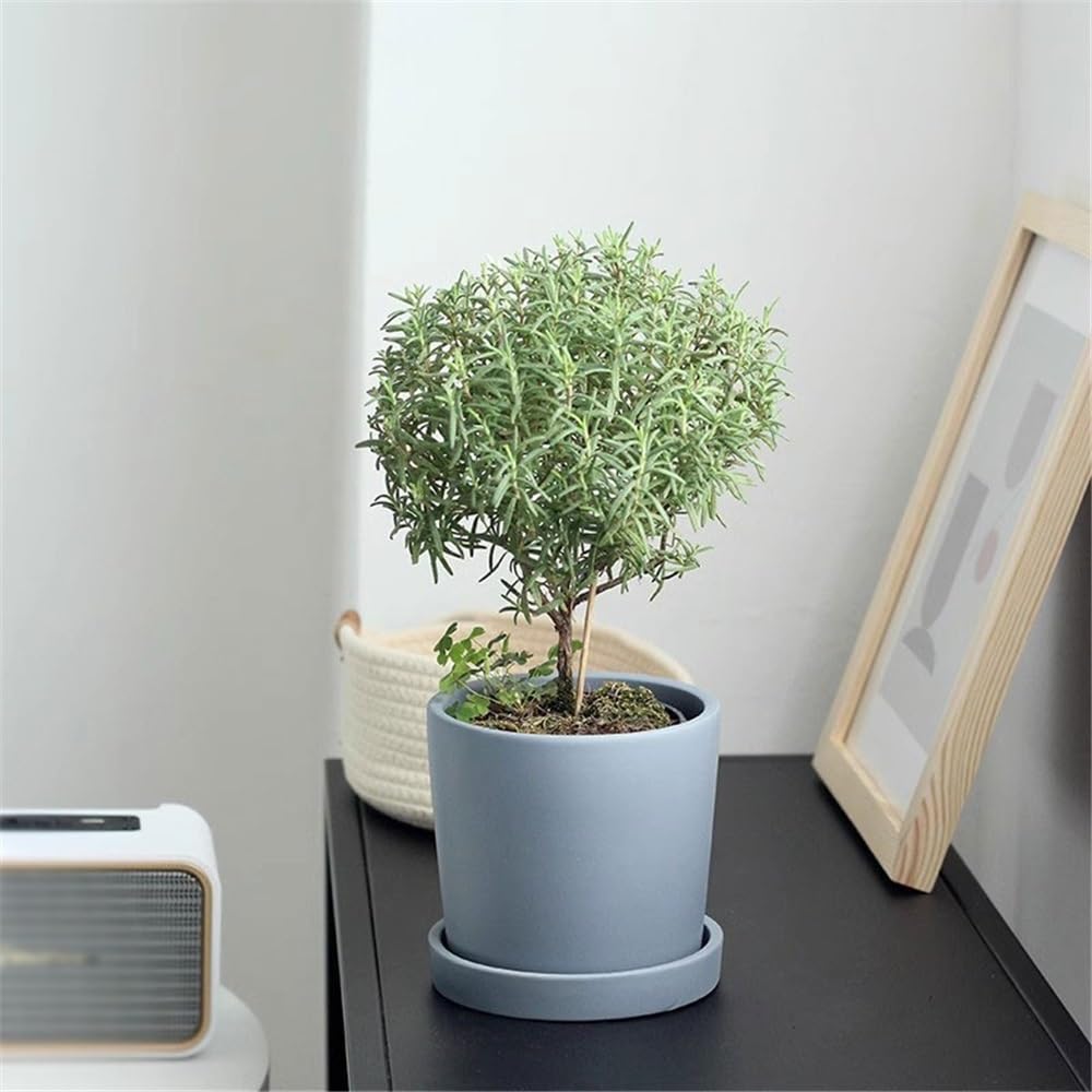 pot de fleur Pot de fleur rond bleu grisâtre, avec plateaux de soucoupes et trou de drainage, pot de plante en céramique de bureau, for jardin de rebord de fenêtre de chambre à coucher cache pot ceram