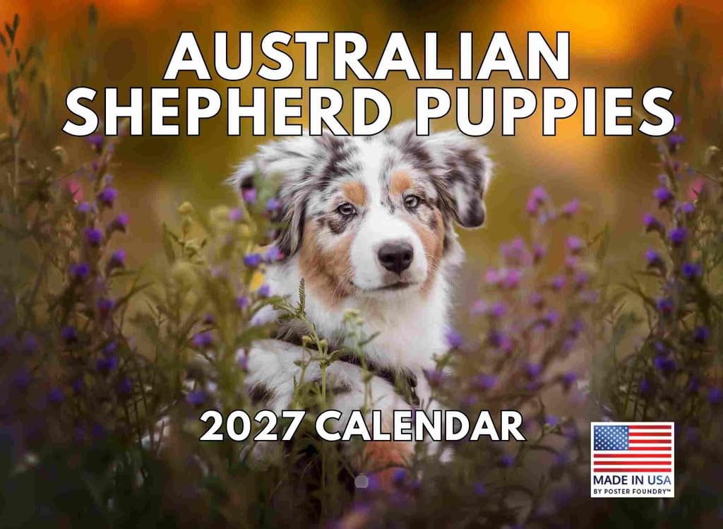 Australian Shepherd Puppies Calendar 2025 Monthly Wall Calender | American Made In The USA — image 1