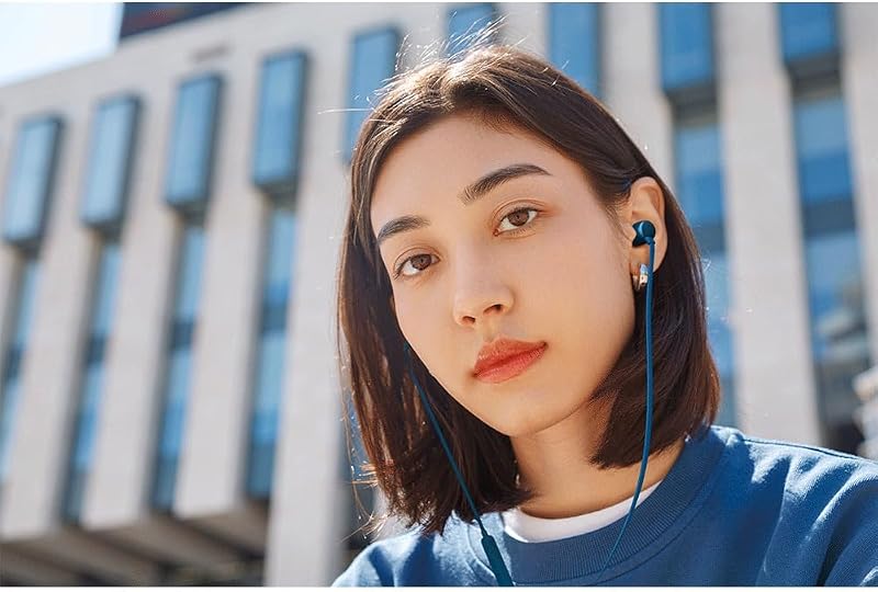 JBL Tune 310C kék vezetékes fülhallgató USB-C mikrofonnal Pure Bass hanggal - blue, Earbud tips