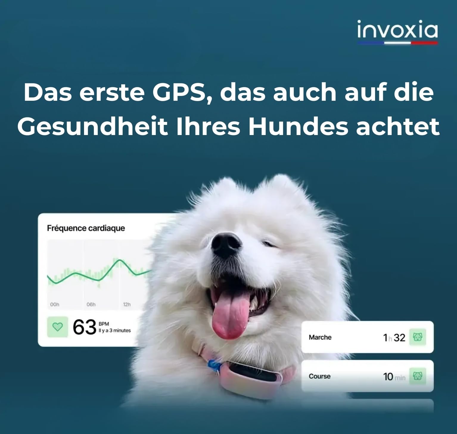 Invoxia Minitailz – Nr. 1 GPS und Gesundheitstracker für Hunde – Fluchtwarnungen, Atemscan – Echtzeit Ortung, über USB wiederaufladbar, virtuelle Zone und Zaun – Mini-Tracker