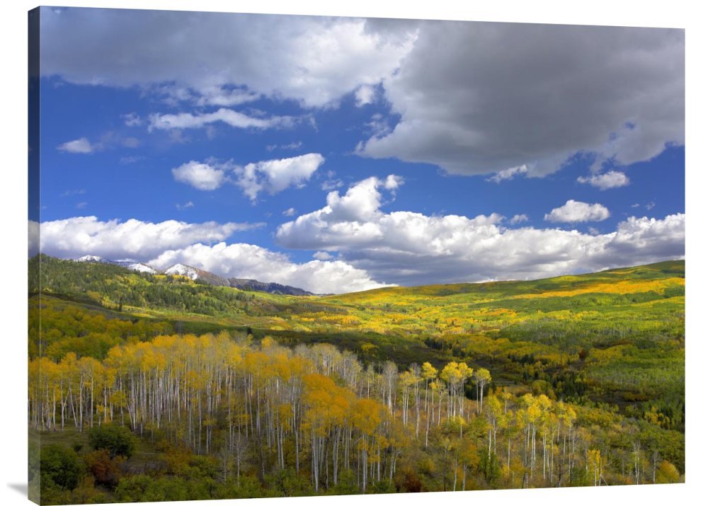 Global GalleryBudget GCS-396154-3040-142 Tim Fitzharris Gunnison National Forest in Fall Colorado Gallery Wrap Giclee on Canvas Wall Art Print