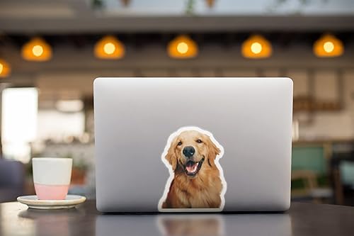 Linda calcomanía de perro Golden Retriever, calcomanía de vinilo para parachoques de automóvil, botella de agua, cuaderno de notas, laptop, ventana,