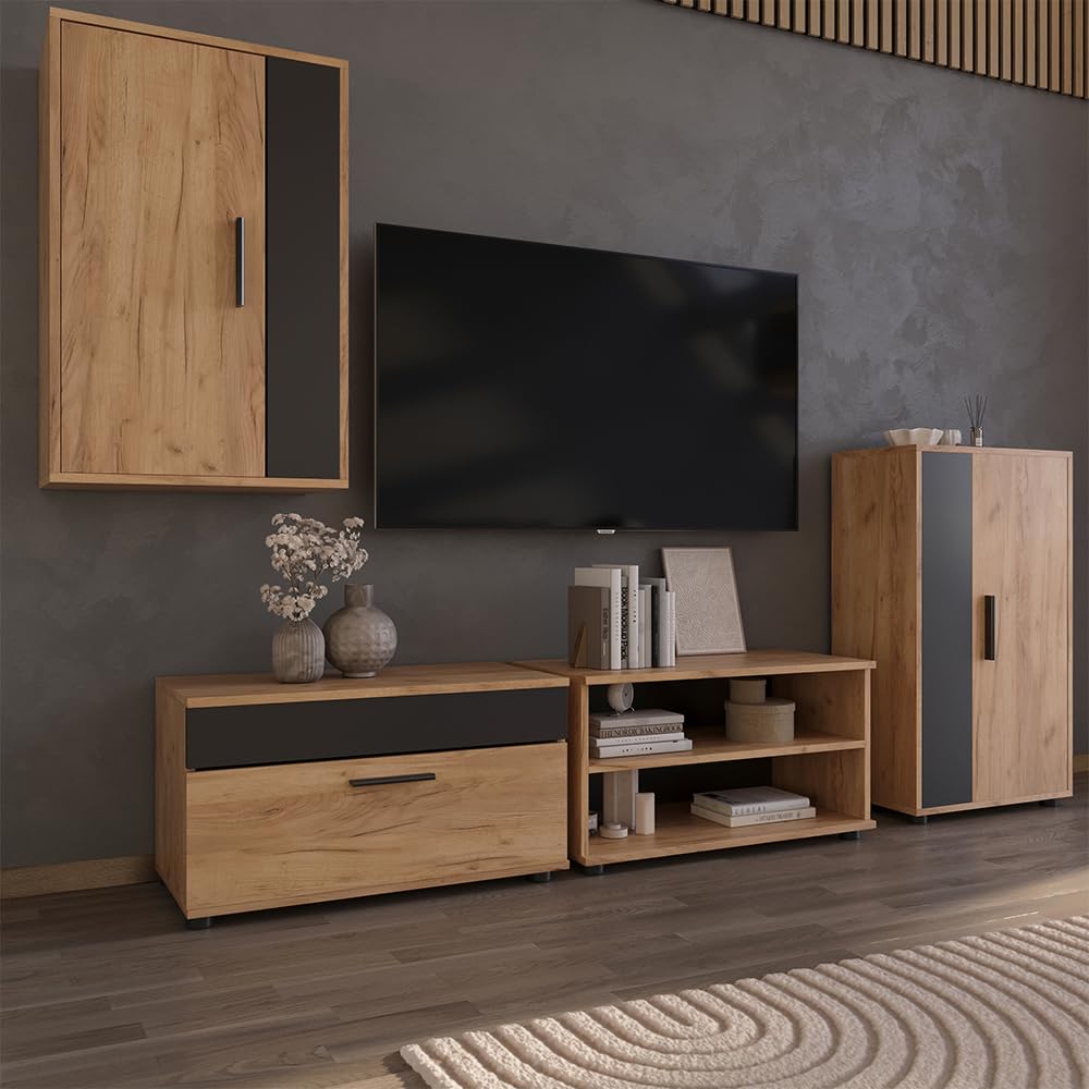 Vicco Mobili da soggiorno Berno, Rovere dorato/antracite, 2 parti, per la conservazione di dispositivi multimediali e accessori per la casa