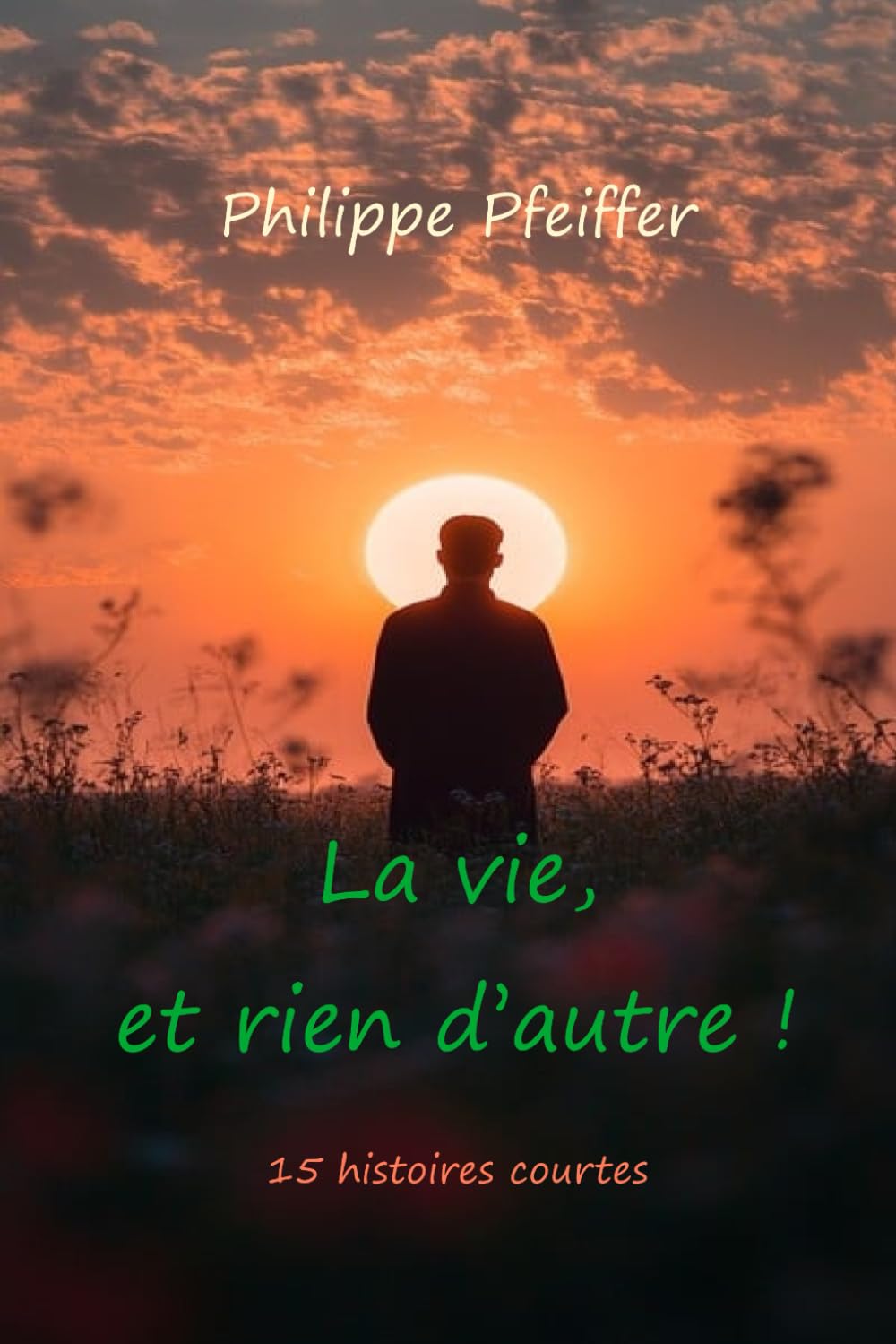 La vie, et rien d'autre !: 15 histoires courtes