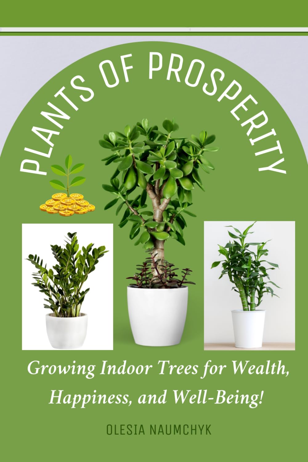 Plants of Prosperity: Growing Indoor Trees for Wealth, Happiness, and Well-Being!