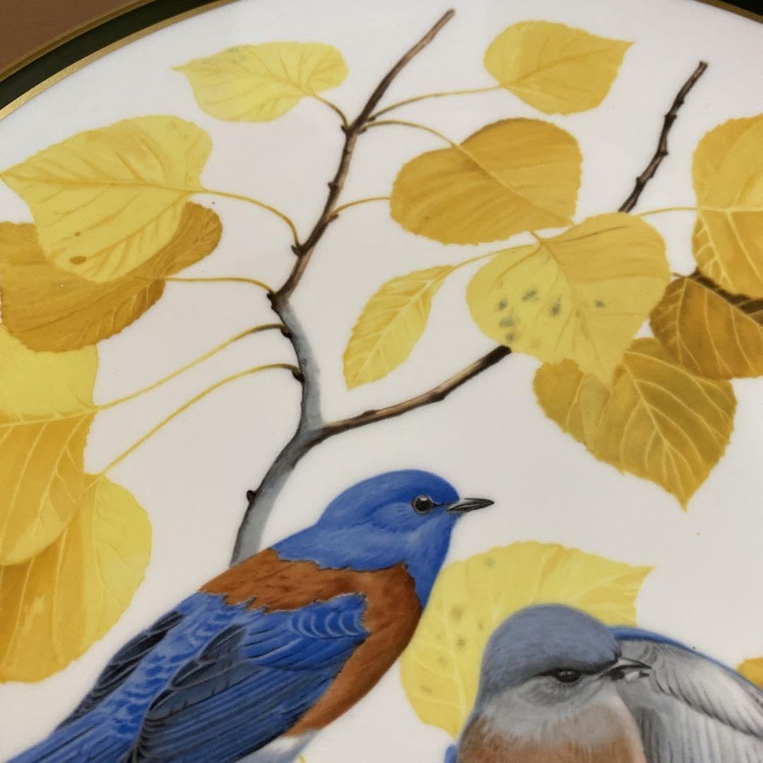 ★FRANKLIN PORCELAIN 世界の鳴き鳥 プレート 飾り皿 アンティーク雑貨 Franklin Pocelain(フランクリン・ポーセリン