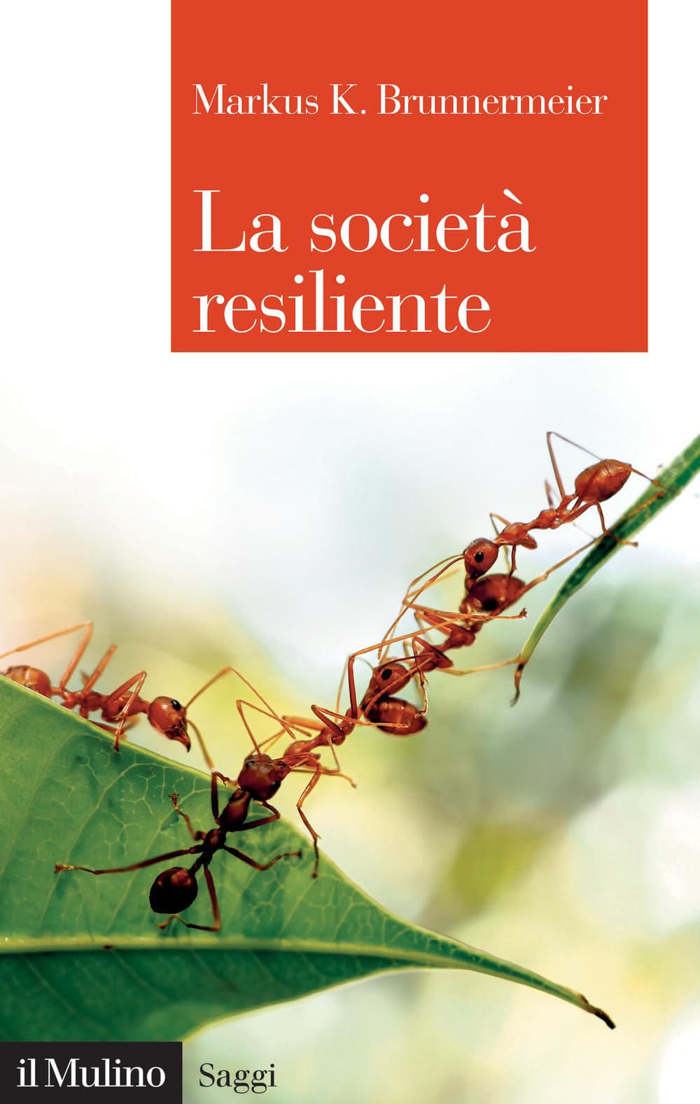 La Società Resiliente - 4