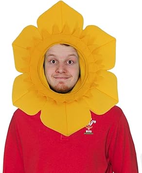 Welsh daffodil hat Clearance