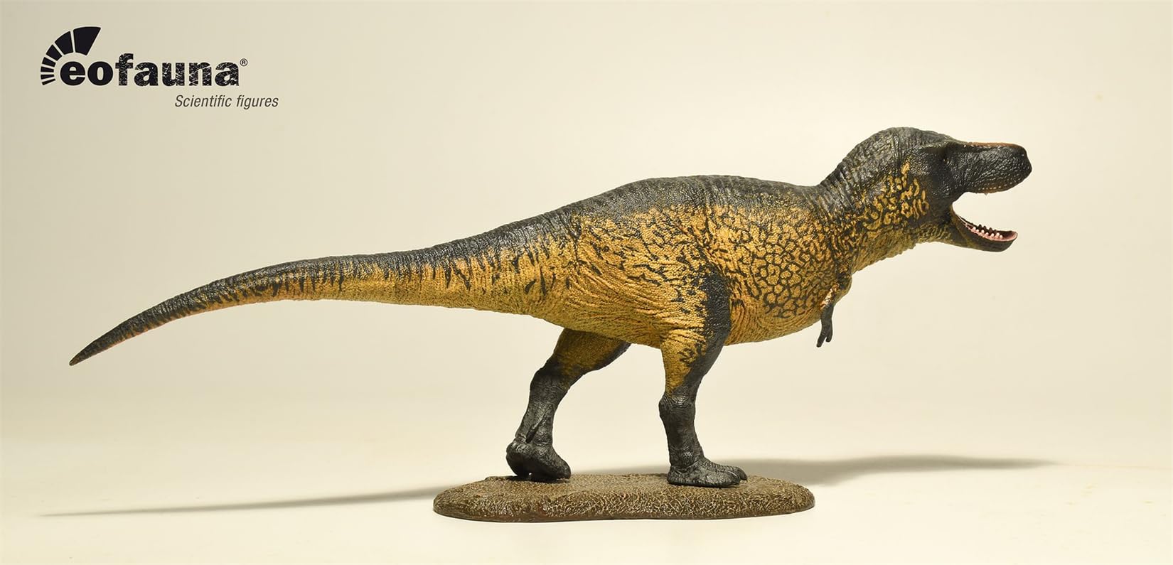 Amazon | Eofauna 1/35 サイズ ティラノサウルス フィギュア 34CM級