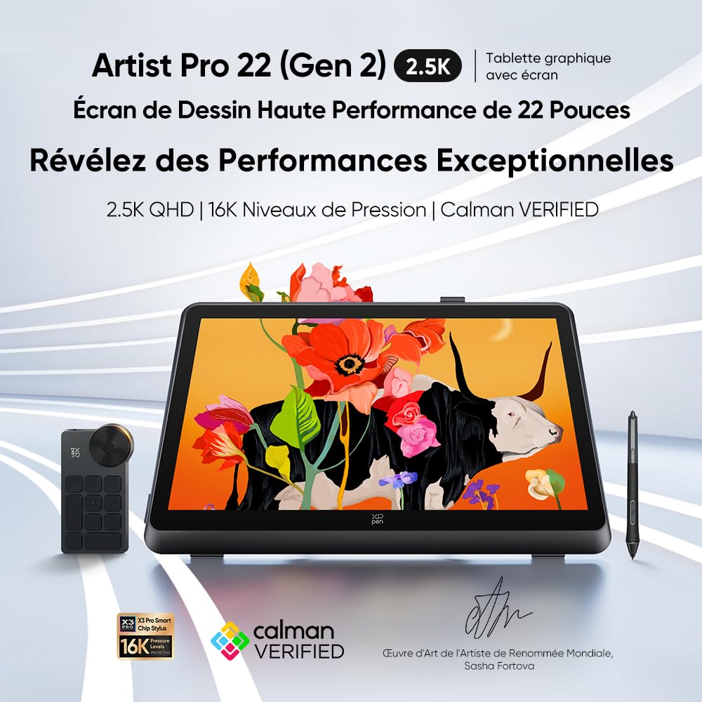 XPPen Artist Pro 22 (Gen 2) Moniteur de Dessin Professionnel en 22 Pouces | Écran QHD 2,5K Entier Laminé | Couleur Calman Certifié | Dual Stylet X3 Pro 16K Niveuaux | 99% sRGB | Support Inclus