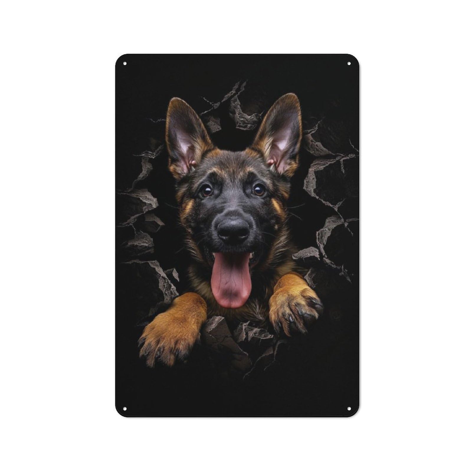 Junmoney Belgian Malinois Retro Metal Wall Sign 30X20cm With For Bar Or Restaurant, Gift Idea For A New Home And Metal Sign Collection