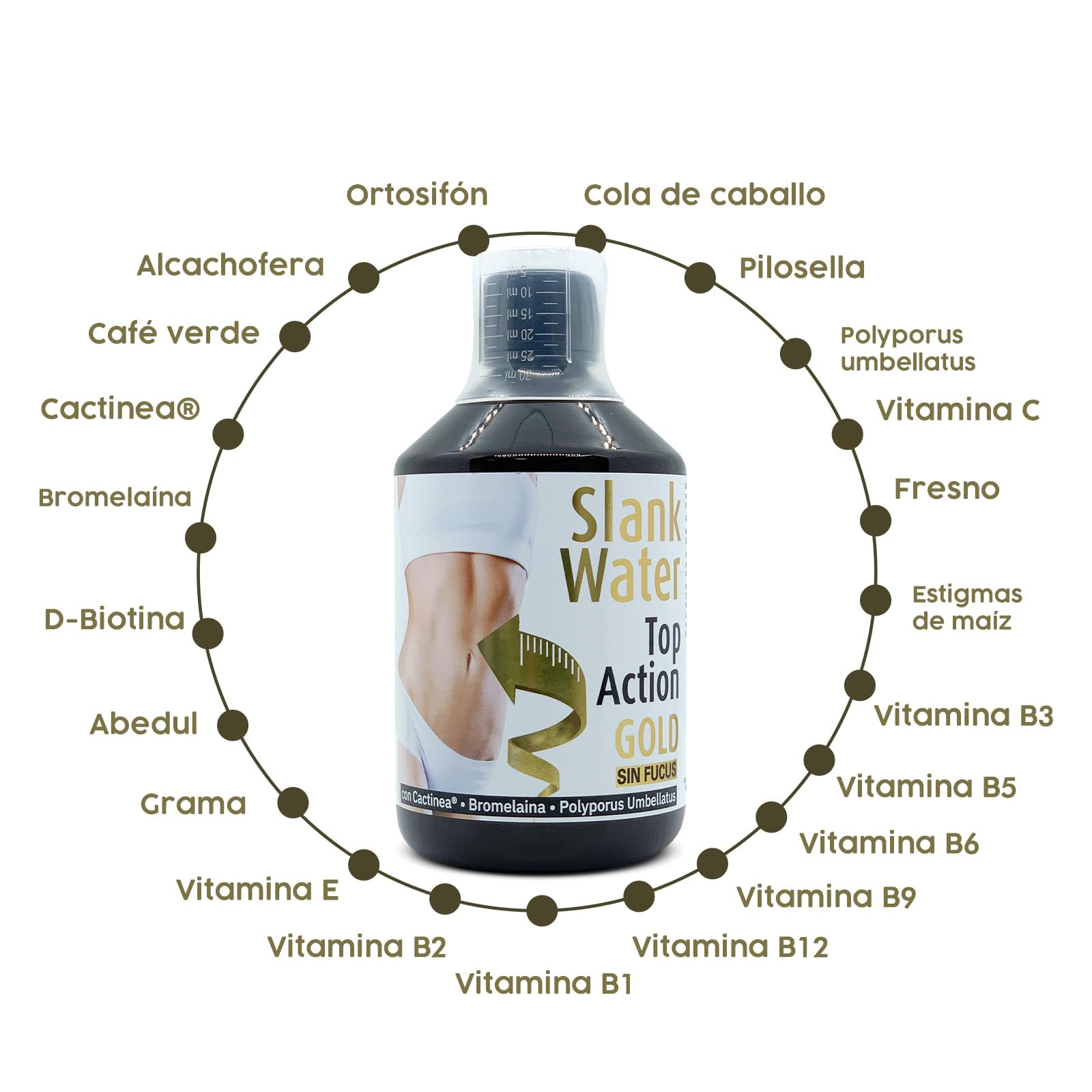 Espadiet Slank water Top Action Gold Sin Fucus - Minerales, Vitaminas, Polyporus Umbellatus y Cactinea – Drenante y Activador Linfático – Eliminación de Líquido y Toxinas – Botella con 500ml