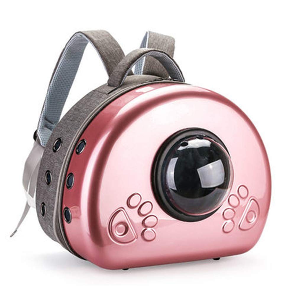 Sac à dos complet pour chat transparent idéal pour voyager avec votre grand félin