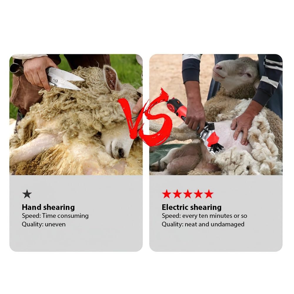 220v/110v 6 Modes Tondeuse Mouton, 76mm 2400Tr/Min éQuipement Pour éLevage De ChèVres Et Moutons, Coupe-Laine De Cisaillement éLectrique (Noir +13 règle)