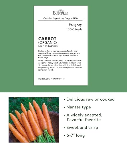 Miniatura 7 de Semillas Burpee