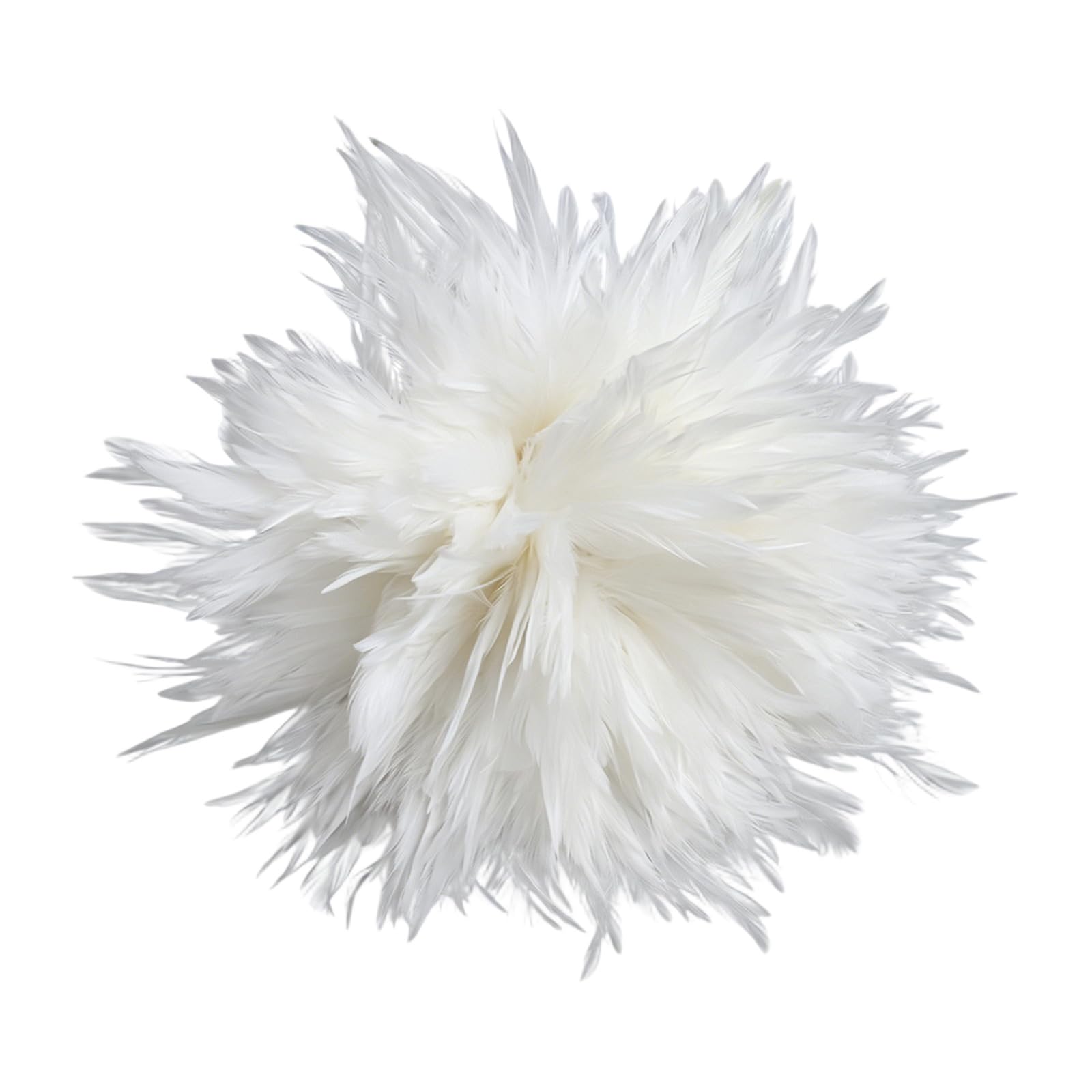Oxxggkao Tip Plumage Great for Hairpins and Festival Costume Designs Craft Quills for Decoration
