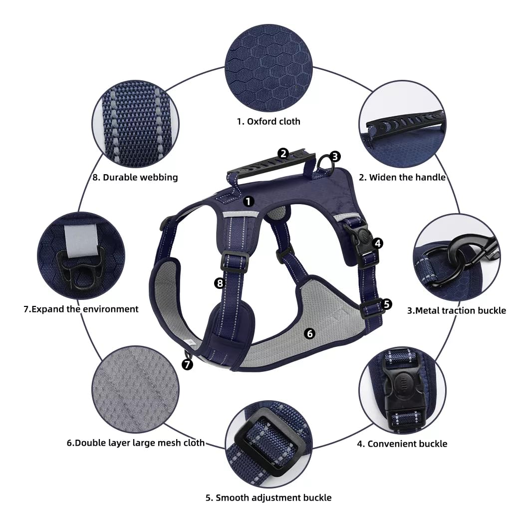 Arnés de seguridad Chest Plate para perros pequeños, medianos y grandes con correa, 1,5 m (azul oscuro, L)