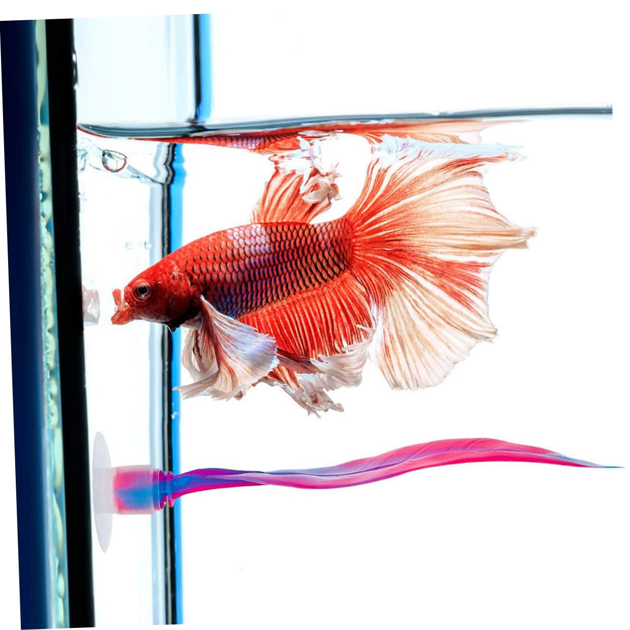 Kisangel 10piezas Hammock para Peces Betta Decoración Acuática Ventosa Cama para Reposo y Desove De Simulada para Acuarios Accesorio para Peceras De Agua Dulce y Salada