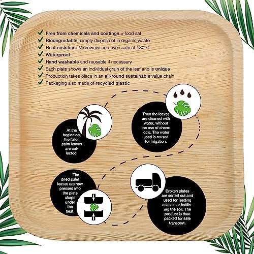 Moritz & Moritz 75 Pcs. Disposable Set - 25x25 cm Palm Leaf Plates With Wooden Cutlery - Alternative to Bamboo and Paper Plates - Image 4