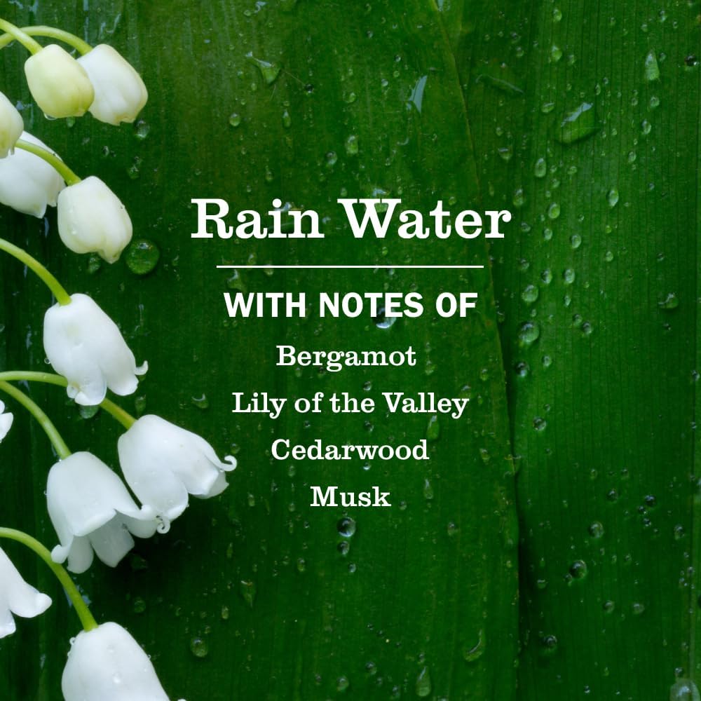 Mrs. Meyer's Clean Day Laundry Scent Boosters, Rain Water Scent