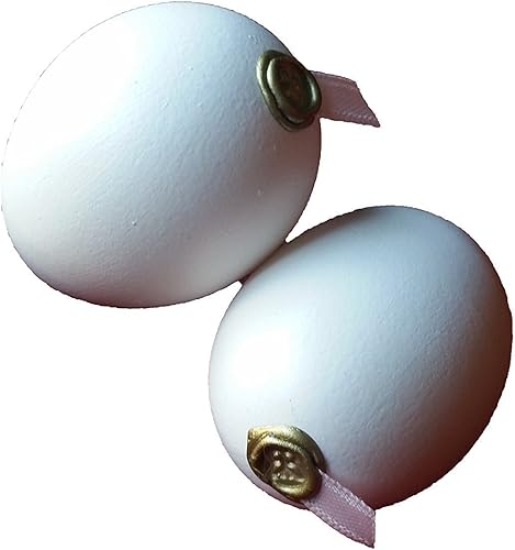 Miniatura 4 de Unique Wedding Favors - Monarch Habitat Seed Eggs