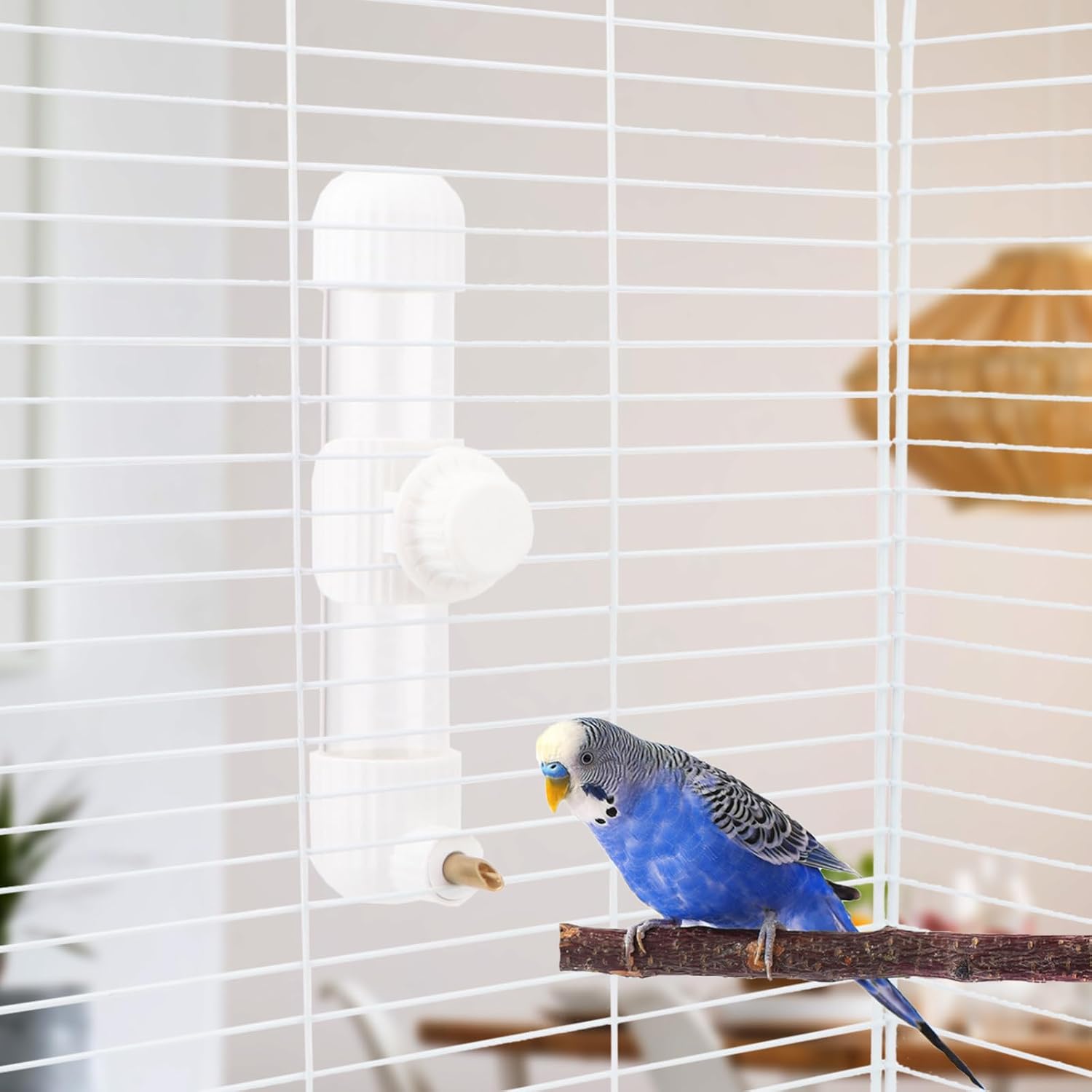Hypeety Leak-Proof Bird Water Bottle Clear Bird Dispenser, 7.4 fl oz/220 ml image 4