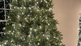 Review Image by Dan Dan