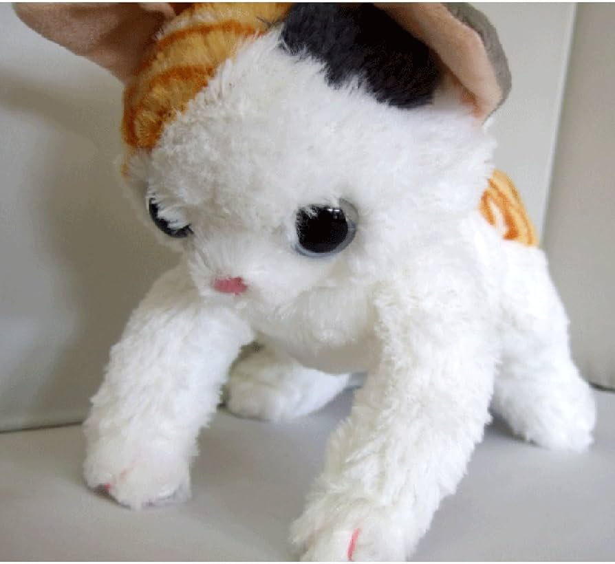 Amazon.co.jp: いっしょがいいね ビーンズ ぬいぐるみ 高さ22cm ミケ猫