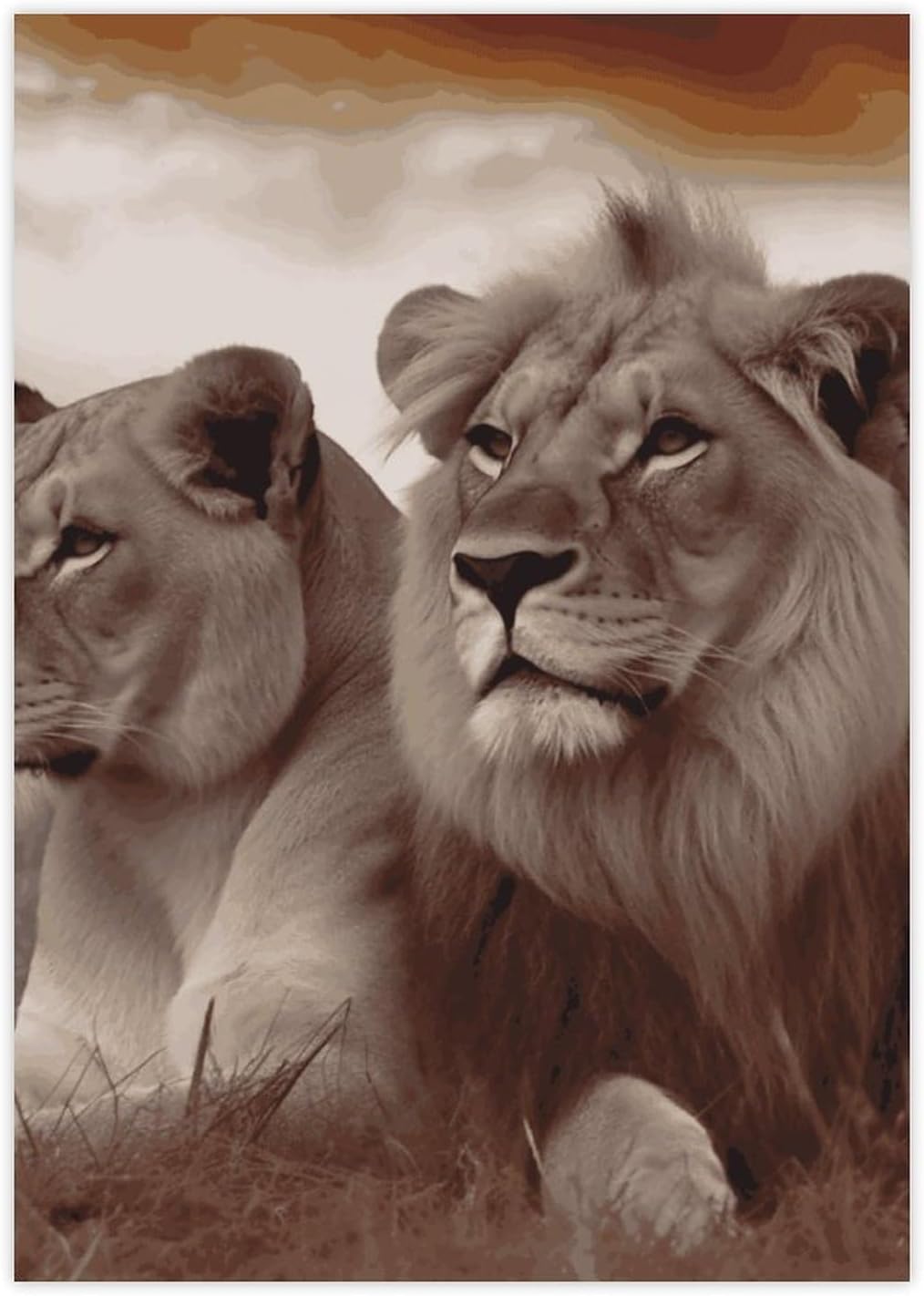 Cute Stickers Waterproof Funny African Lion and Lioness Stickers for Water Bottles Laptop Decor