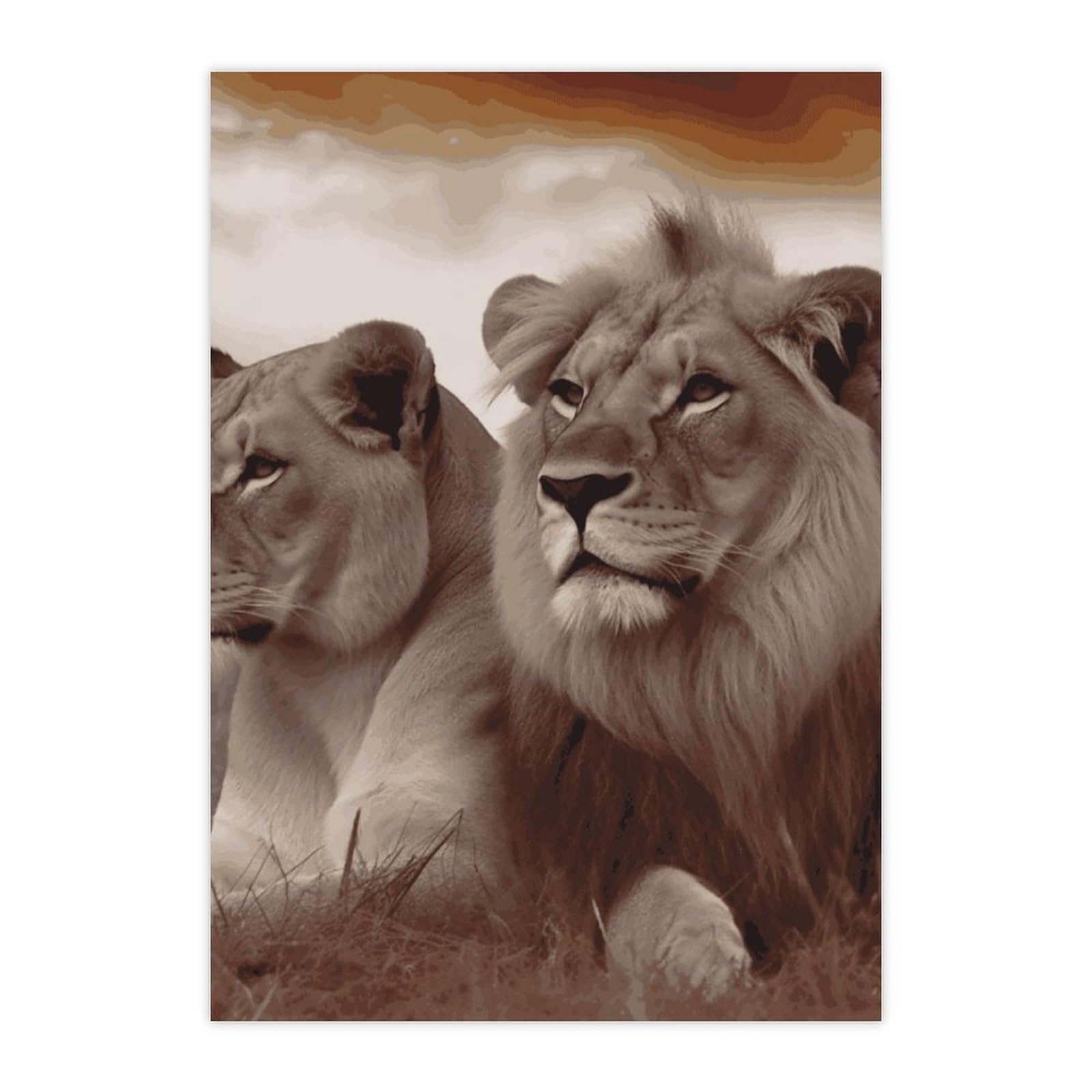 Stickers lion africain durables en vinyle haute résolution