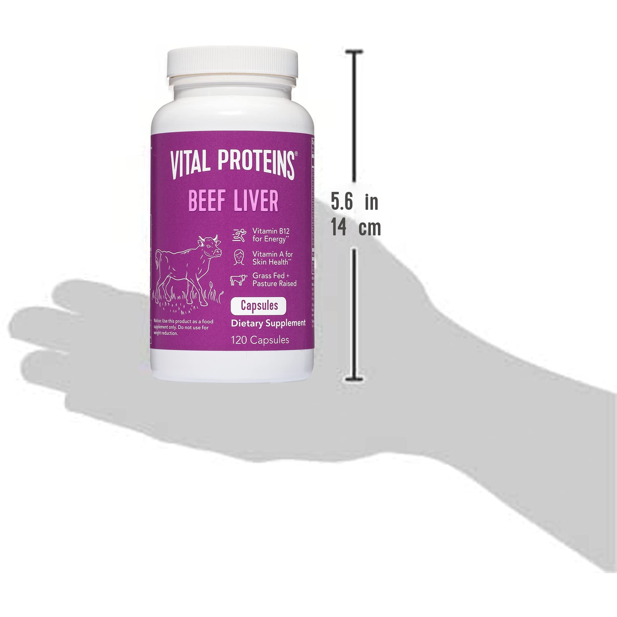 Buy Vital Proteins, Beef Liver 750mg Capsules 120 Online at desertcart UAE