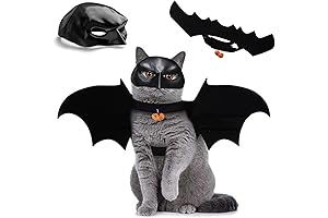 Adorable and Festive Personalized Cat Bat Regalia for Unforgettable Halloween Moments